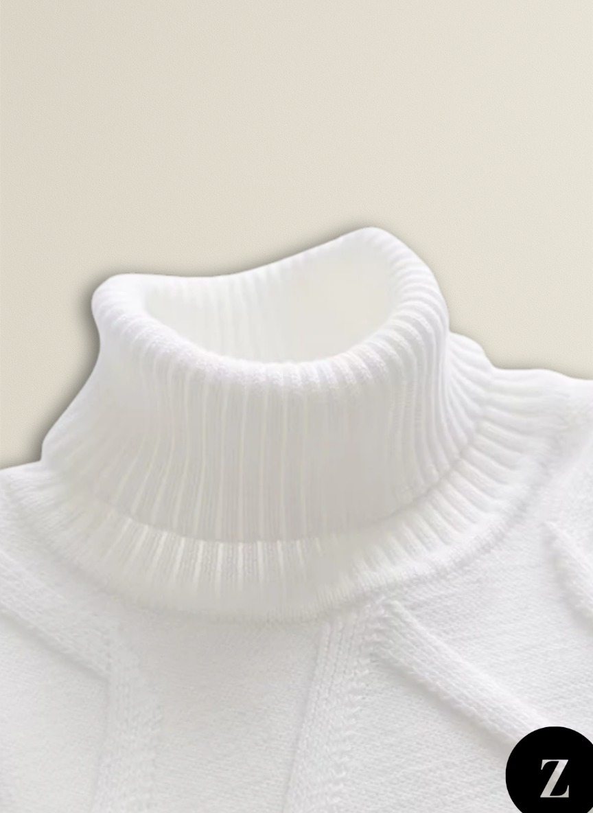 Men's Wool Turtleneck Sweater - Model Vicenzo